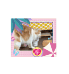 ミィくんの梅雨ドキドキ（個別スタンプ：14）