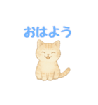 動く！ かわいい猫 【毎日使える】（個別スタンプ：1）