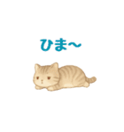 動く！ かわいい猫 【毎日使える】（個別スタンプ：2）