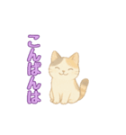 動く！ かわいい猫 【毎日使える】（個別スタンプ：9）