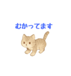 動く！ かわいい猫 【毎日使える】（個別スタンプ：20）