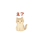 動く！ かわいい猫 【毎日使える】（個別スタンプ：23）
