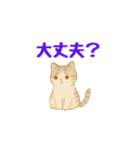 動く！ かわいい猫 【毎日使える】（個別スタンプ：24）