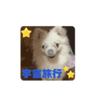可愛いミルの動くスタンプ（個別スタンプ：5）