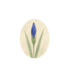 開花シリーズ①:Flowers Bloom（個別スタンプ：2）