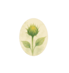 開花シリーズ①:Flowers Bloom（個別スタンプ：3）