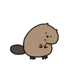 動く！たぷたぷビーバー（個別スタンプ：2）