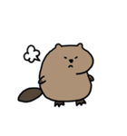 動く！たぷたぷビーバー（個別スタンプ：5）