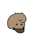 動く！たぷたぷビーバー（個別スタンプ：15）