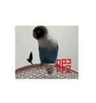 鳥さんの友達（個別スタンプ：2）