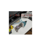 鳥さんの友達（個別スタンプ：3）