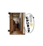 坂本3兄弟の日常！（個別スタンプ：9）