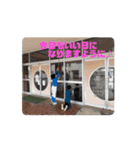 坂本3兄弟の日常！（個別スタンプ：15）