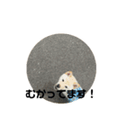 うごくらいち（個別スタンプ：1）