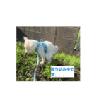 うごくらいち（個別スタンプ：2）