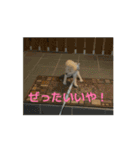 うごくらいち（個別スタンプ：4）