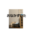 うごくらいち（個別スタンプ：8）
