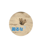 うごくらいち（個別スタンプ：9）