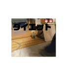 うごくらいち（個別スタンプ：12）
