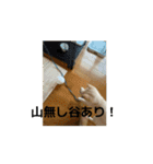 うごくらいち（個別スタンプ：14）