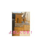 うごくらいち（個別スタンプ：15）
