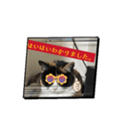 やりますな（個別スタンプ：2）