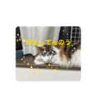 やりますな（個別スタンプ：3）