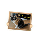 やりますな（個別スタンプ：5）