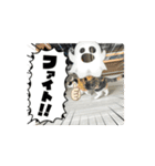 やりますな（個別スタンプ：11）
