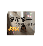 リシャラでしょ？そうでしょ？（個別スタンプ：8）