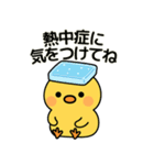 ぴよたんといっしょ vol.5 【真夏編】（個別スタンプ：5）