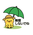 ぴよたんといっしょ vol.5 【真夏編】（個別スタンプ：6）