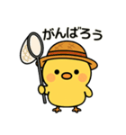 ぴよたんといっしょ vol.5 【真夏編】（個別スタンプ：8）