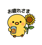 ぴよたんといっしょ vol.5 【真夏編】（個別スタンプ：9）