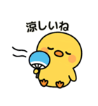 ぴよたんといっしょ vol.5 【真夏編】（個別スタンプ：11）