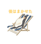 夏に使えるスタンプセット（個別スタンプ：34）