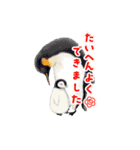 夏に使えるスタンプセット（個別スタンプ：36）