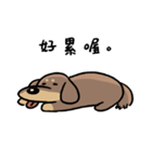 ラテの日常-- A GAN（個別スタンプ：6）