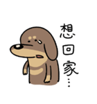 ラテの日常-- A GAN（個別スタンプ：23）