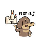 ラテの日常-- A GAN（個別スタンプ：31）