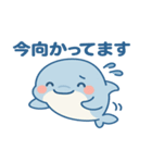 毎日つかえる！ゆるかわバンドウイルカ（個別スタンプ：9）
