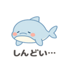 毎日つかえる！ゆるかわバンドウイルカ（個別スタンプ：14）