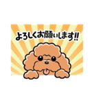 HELLO！ トイプードル（個別スタンプ：2）