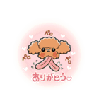 HELLO！ トイプードル（個別スタンプ：3）