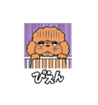 HELLO！ トイプードル（個別スタンプ：7）