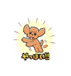 HELLO！ トイプードル（個別スタンプ：8）