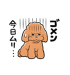 HELLO！ トイプードル（個別スタンプ：14）