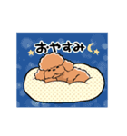 HELLO！ トイプードル（個別スタンプ：15）