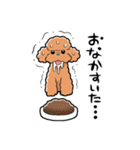 HELLO！ トイプードル（個別スタンプ：18）