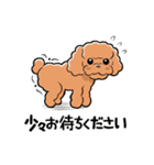 HELLO！ トイプードル（個別スタンプ：22）